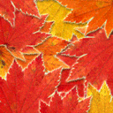 姐姐送来的温暖9