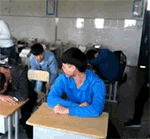 有关我们的卖萌表情包11