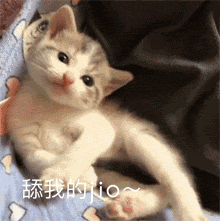 美女中午好唱的真好呀表情到位8 美女中午好唱的真好呀表情到位8