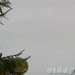 张学友表情包合集8 张学友表情包合集8
