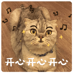 因为发污污表情生气3 因为发污污表情生气3