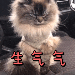 动漫表情包神回复5 动漫表情包神回复5