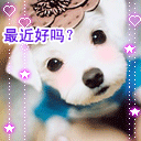 鞭炮的表情包图片大全可爱1 鞭炮的表情包图片大全可爱1