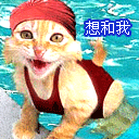 美女等等我表情包gif3 美女等等我表情包gif3