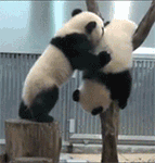 iphone表情符号大全在哪里找6