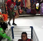 中午问候鲜花表情9 中午问候鲜花表情9