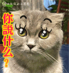 2025有关母羊的聊天表情4