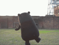 超萌公仔表情包7 超萌公仔表情包7