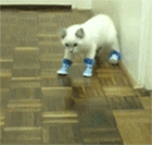 给我一个么么哒表情包6