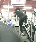 蘑菇头表情包笑死我了2 蘑菇头表情包笑死我了2