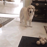 非常恐怖表情包军人1