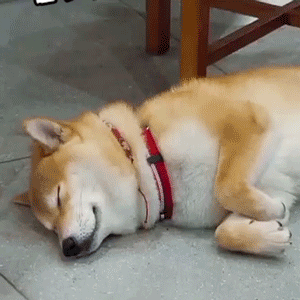 经典抽烟微信表情包13