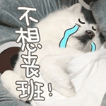 猥琐萌的表情包10 猥琐萌的表情包10