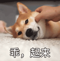 我们的表情中班健康教案2 我们的表情中班健康教案2