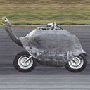 微信表情绿头发1 微信表情绿头发1