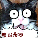 爱情公寓卡拉鸡胖表情包1 爱情公寓卡拉鸡胖表情包1