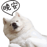 这个群不能乱说话图片15