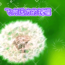 10张看下的动画表情1