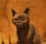 表情泡妞图片大全8