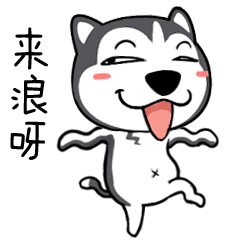 天灵灵地灵灵表情包是什么动漫5 天灵灵地灵灵表情包是什么动漫5