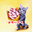 水说的表情14 水说的表情14