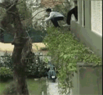 笑死手绘表情包12