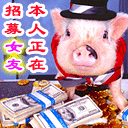 网红大白鸭动漫表情包5