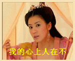 狗群主图片2 狗群主图片2