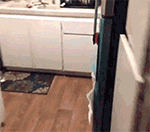 qq聊天图片表情喝茶6 qq聊天图片表情喝茶6