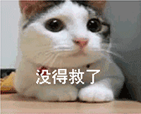 小s调侃金世佳男神的表情包图片7