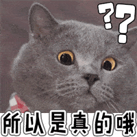 精选12组暴走的卖萌表情图5