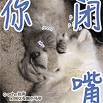 红色暴走表情包10 红色暴走表情包10