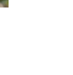 美女姐姐唱的好听表情表演10 美女姐姐唱的好听表情表演10