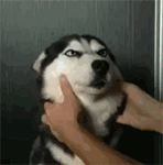 乡村爱情踢足球表情包12