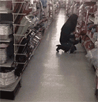 恶搞无语表情包8 恶搞无语表情包8