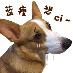 笑死的无文字表情包12