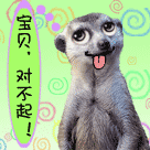 表情包萌情侣头像一对7 表情包萌情侣头像一对7