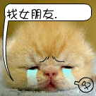 美女化身表情帝8 美女化身表情帝8