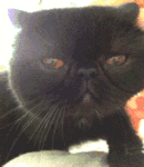 折纸沙雕表情图片3