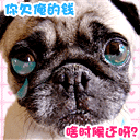 描述理想的表情图3