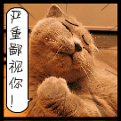 调皮表情包道歉13 调皮表情包道歉13