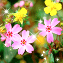 委屈表情包搞笑熊猫头4