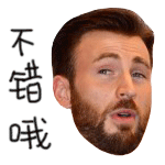 可爱送花表情包1