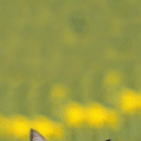 帅哥表情严肃捂脸3