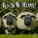 微信收藏表情包消失了怎么恢复10