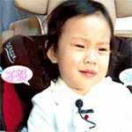 河豚生气表情包gif5