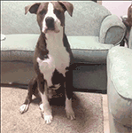 关于疫情的年底总结4