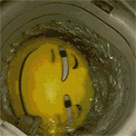 理性分析表情包6