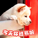 12张时间的微信表情包图片10