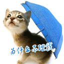 表情包搞笑可爱小朋友3 表情包搞笑可爱小朋友3